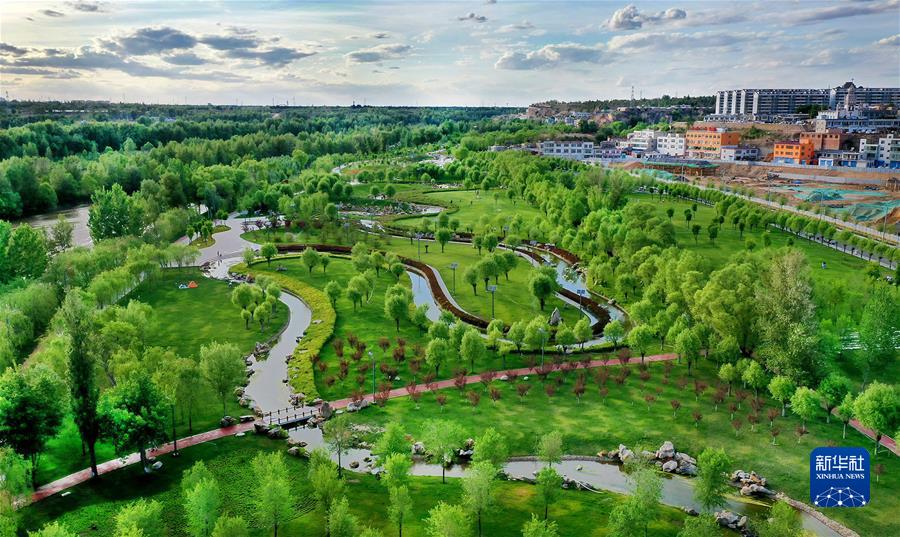 （新華全媒頭條·聚焦生物多樣性大會·圖文互動）（4）攜手同行，開啟人類高質量發(fā)展新征程——習近平主席在《生物多樣性公約》第十五次締約方大會領導人峰會上的主旨講話解讀