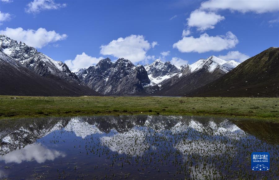 （新華全媒頭條·聚焦生物多樣性大會·圖文互動）（7）攜手同行，開啟人類高質量發(fā)展新征程——習近平主席在《生物多樣性公約》第十五次締約方大會領導人峰會上的主旨講話解讀